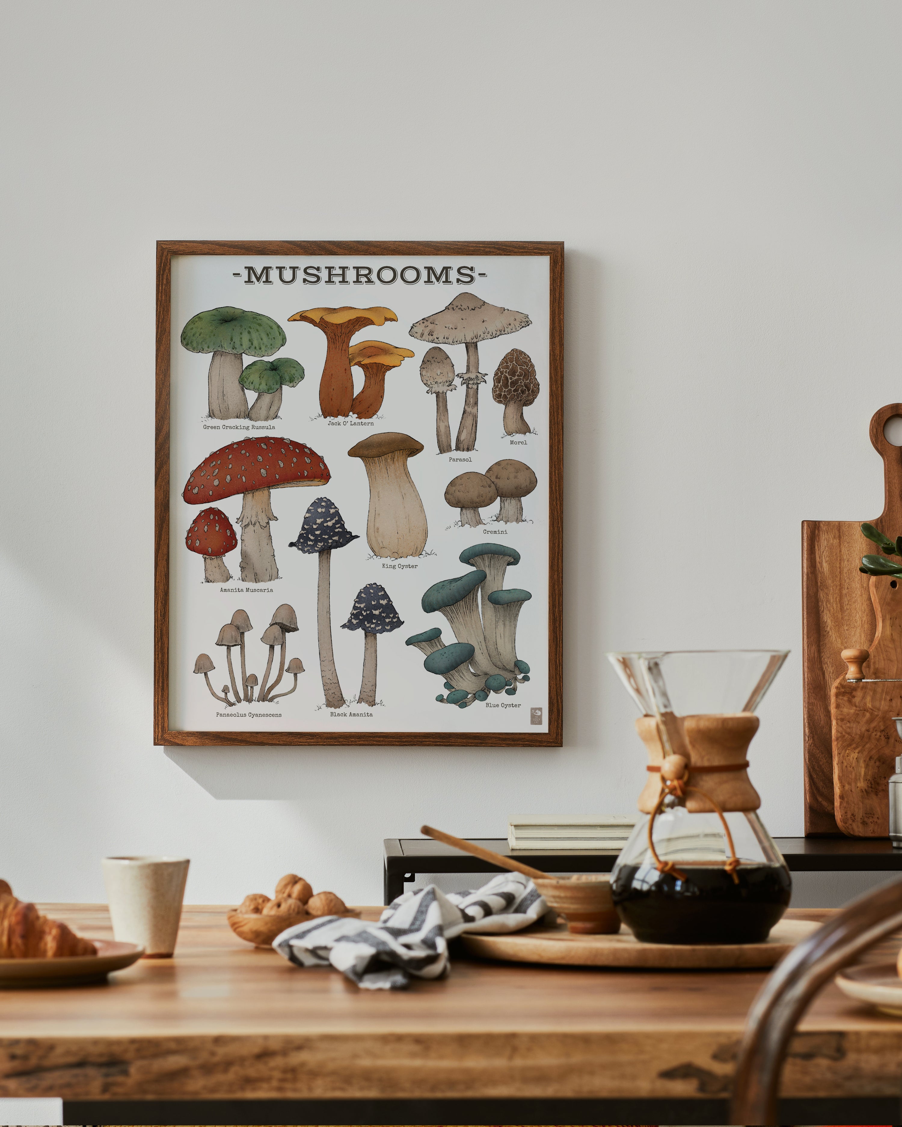 Mushrooms Collection