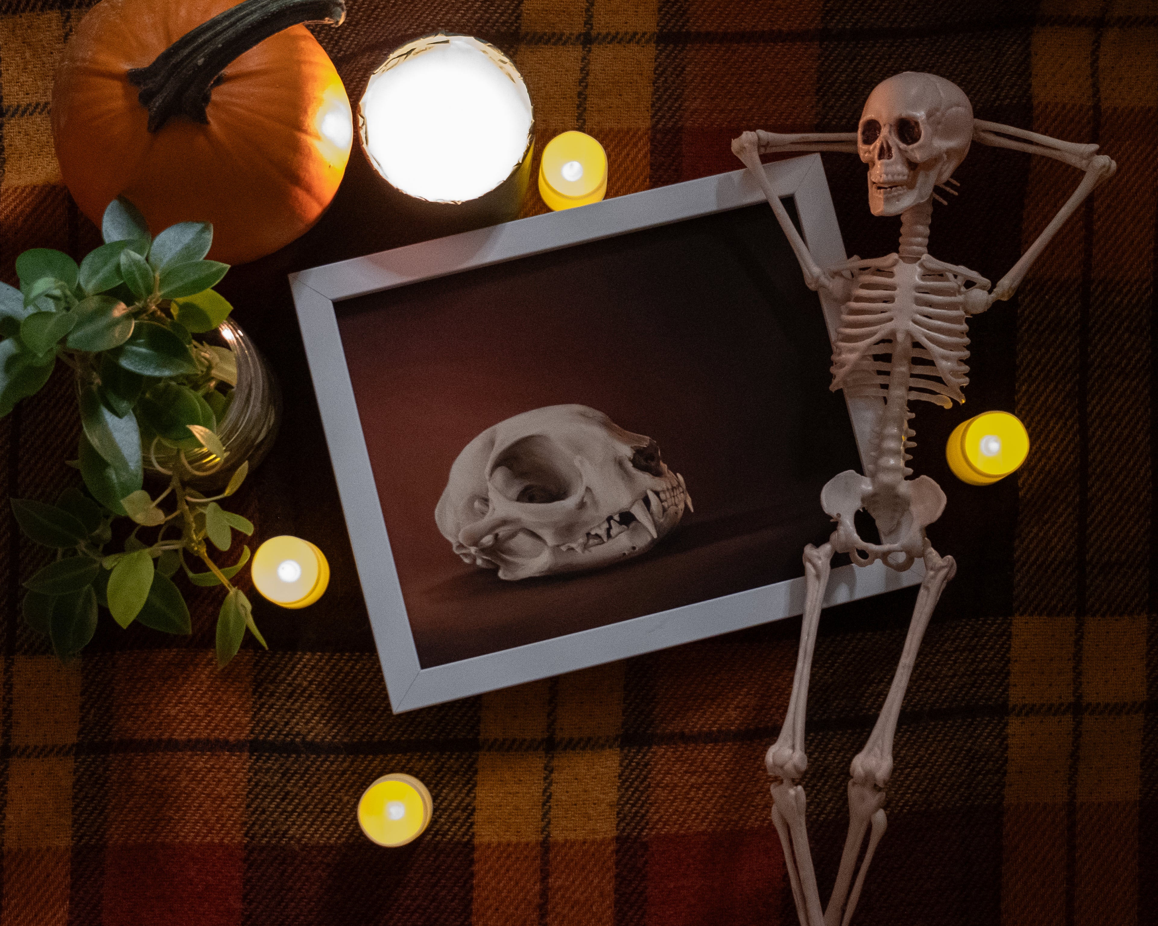 🦇 Halloween Contest 2023! 🎃