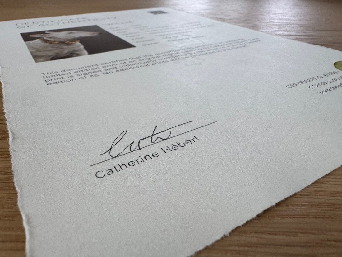 Limited Edition, Unlimited Headaches