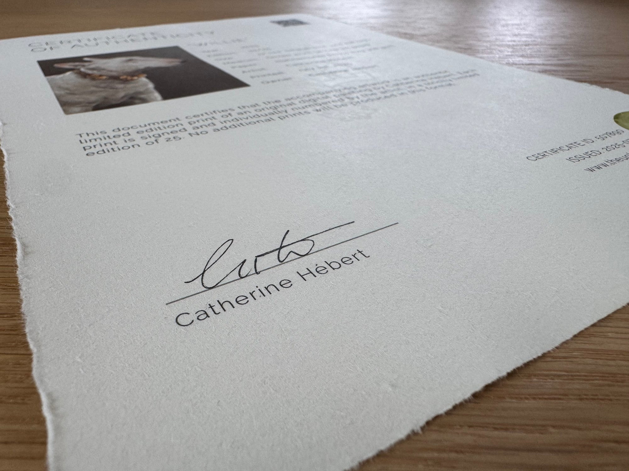 Limited Edition, Unlimited Headaches