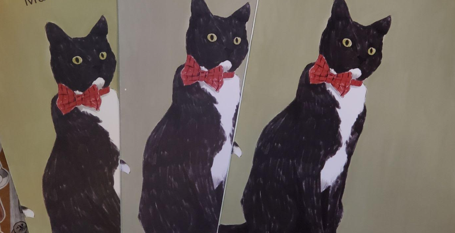 Spotting Print Quality Issues: Red Flags Every Buyer Should Know