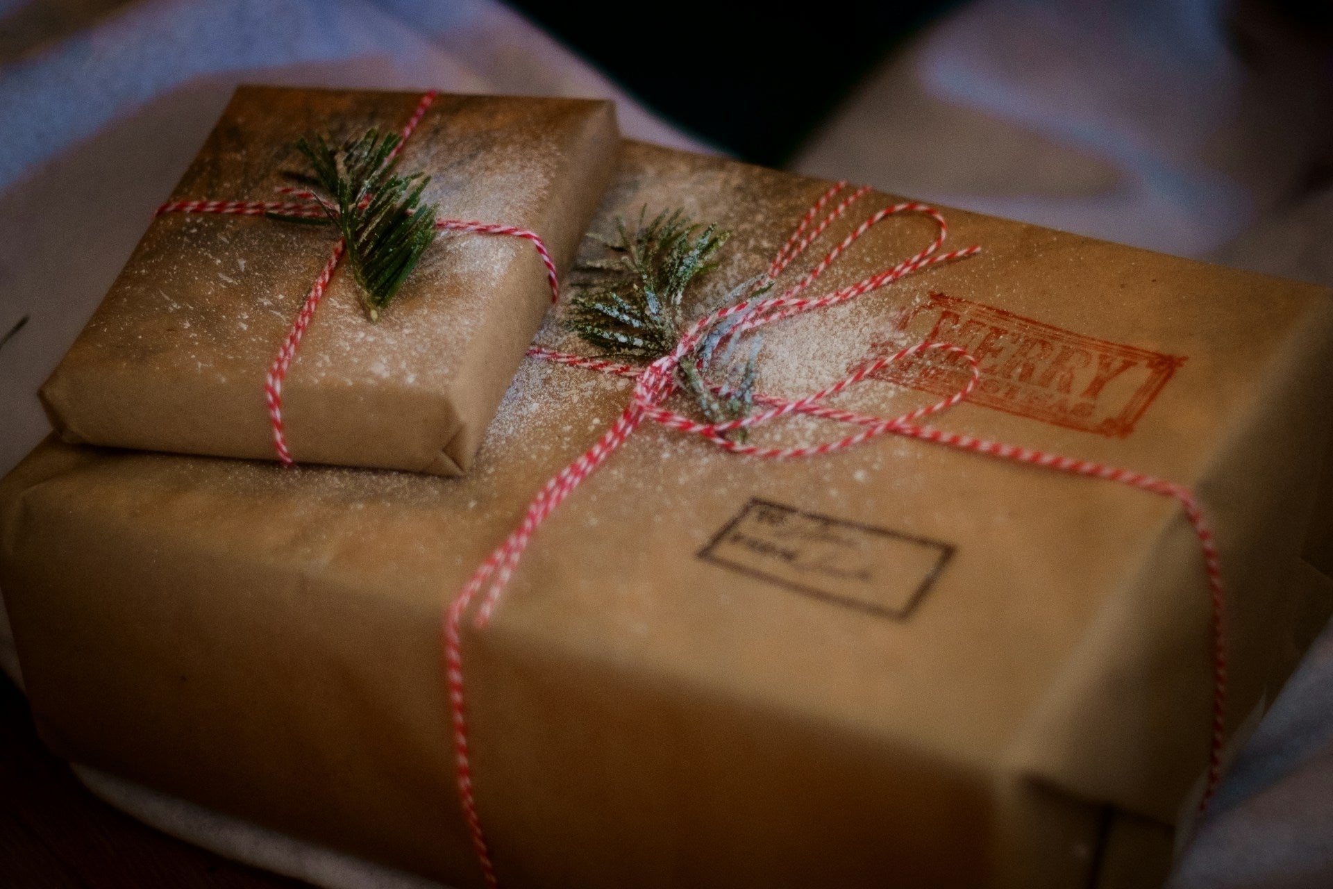 Holiday Shipping Survival Guide