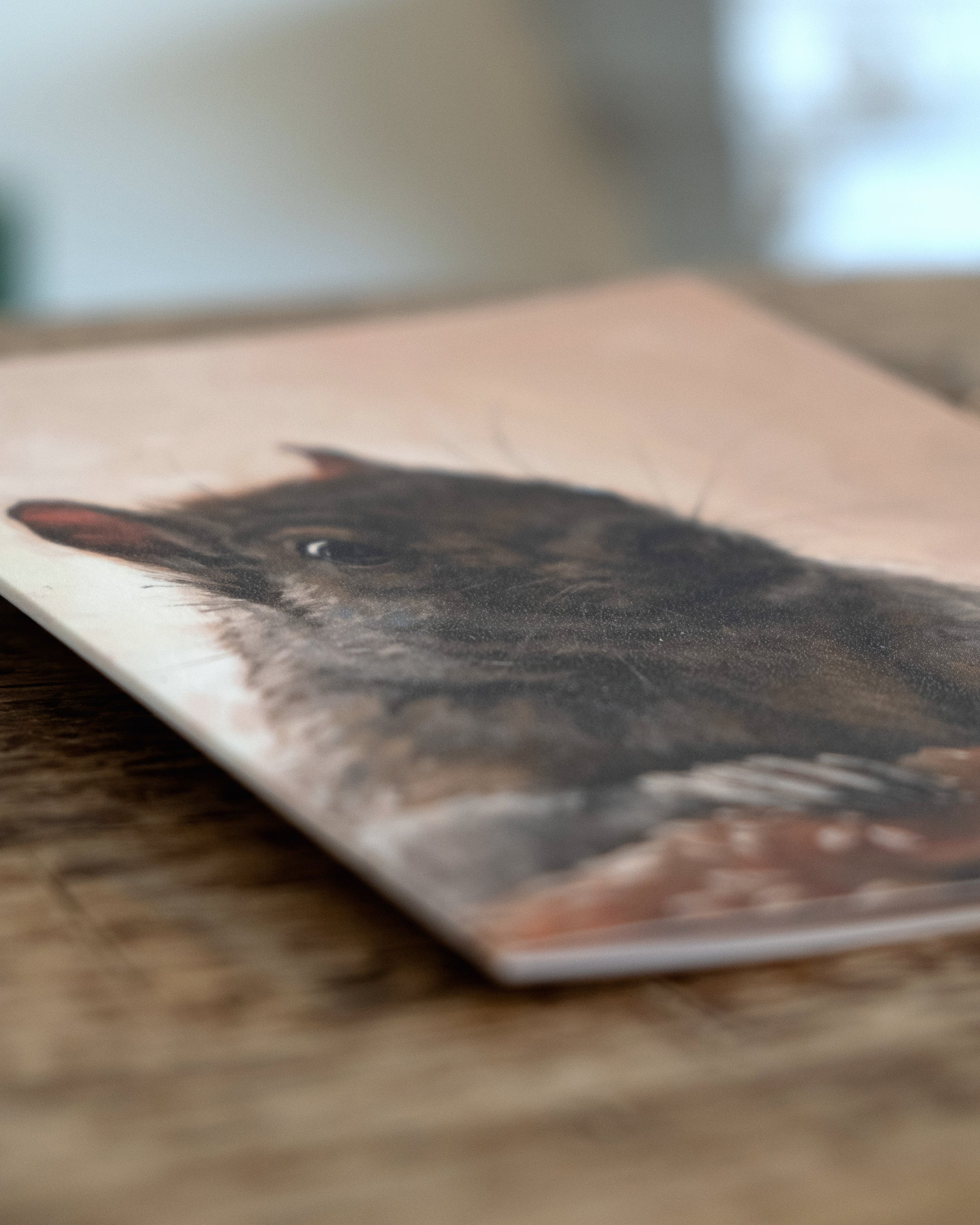 "Brigette With A Bagel" by Catherine Hébert - Grey Squirrel with a Bagel - Blank 5"x7" Greeting Card