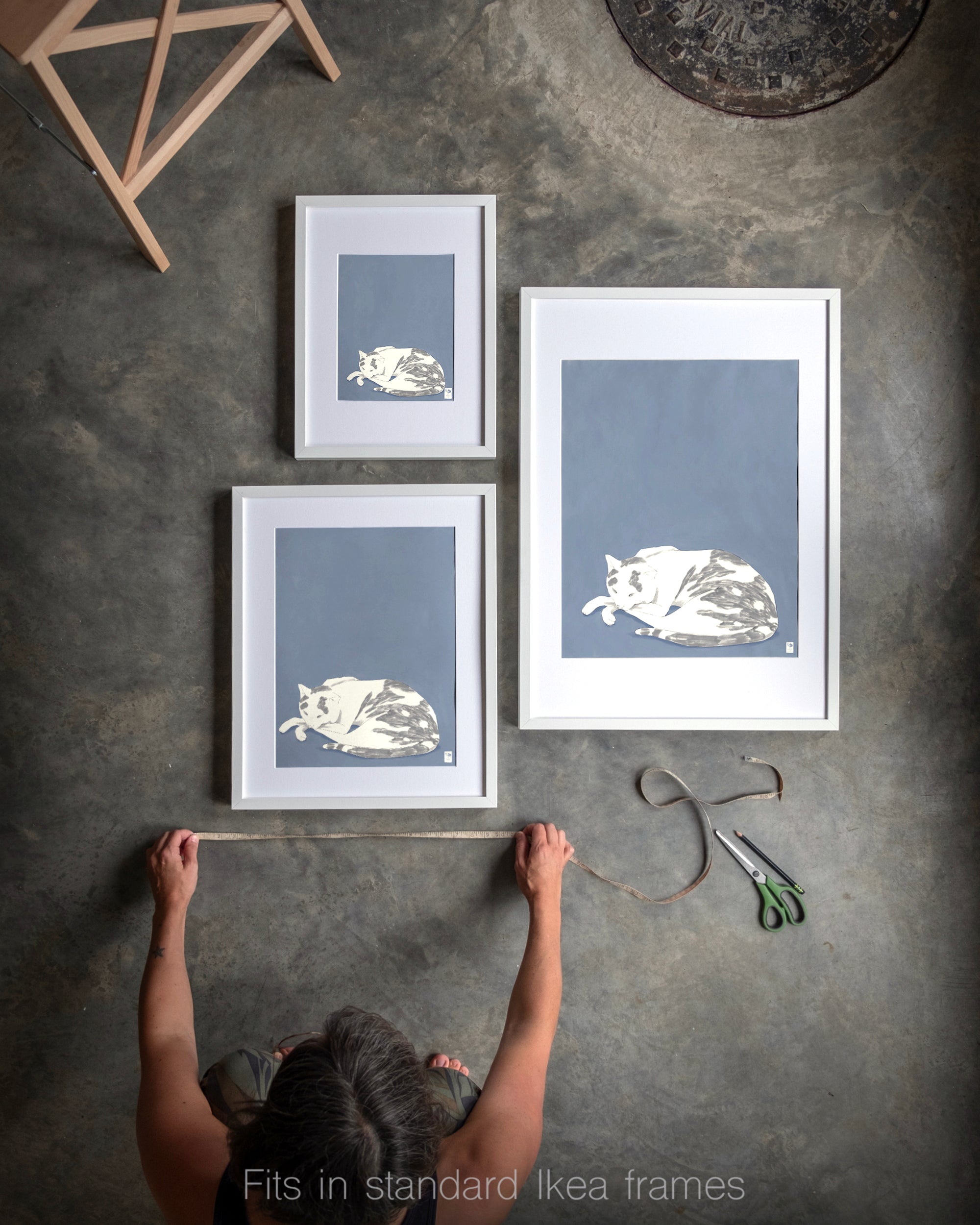 "Russell Sleeping" by Catherine Hébert - Blue Cat Fine Art Print