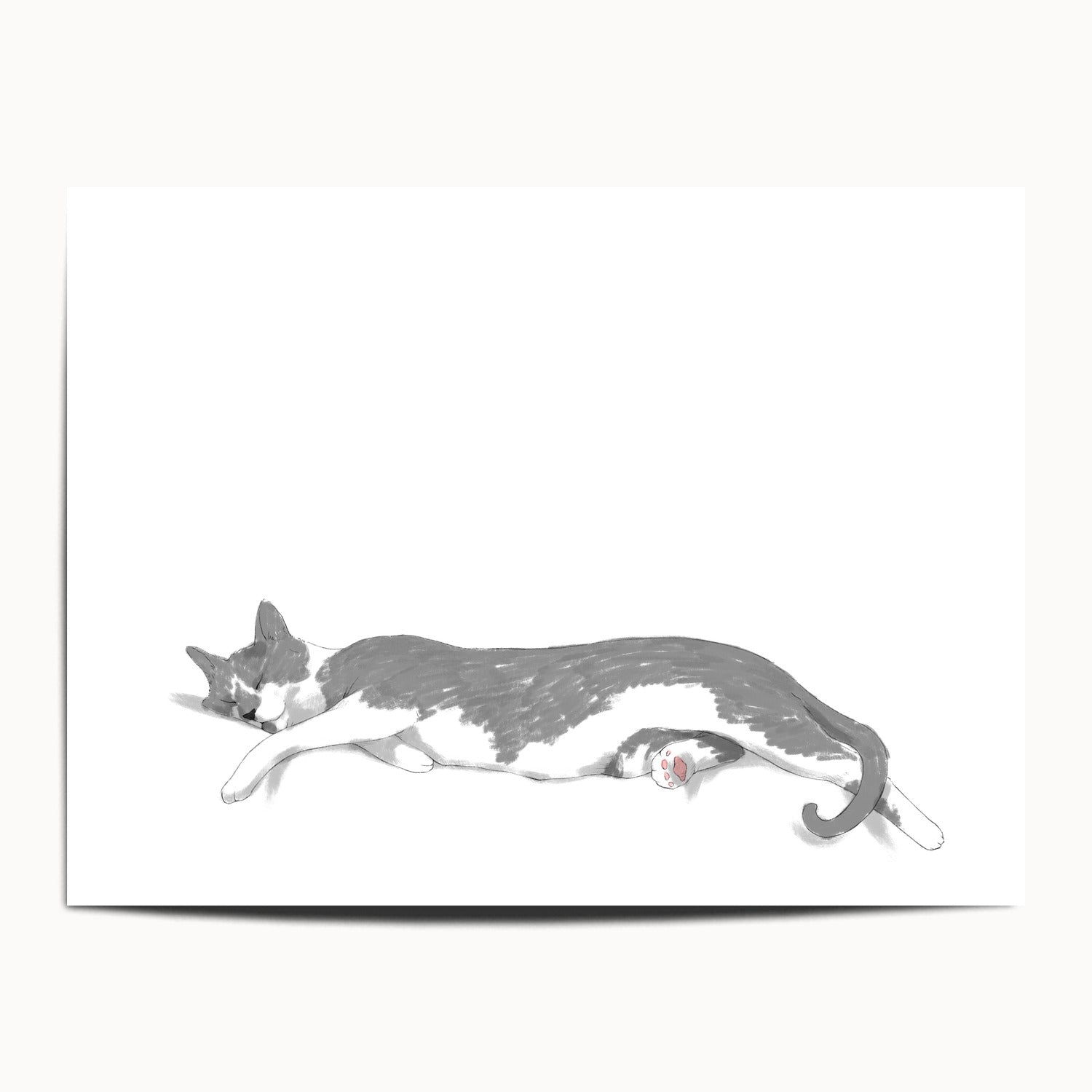 "Woodhouse Stretching - White Edition" by Catherine Hébert - Grey Tuxedo Cat Fine Art Print - 12"x16" size