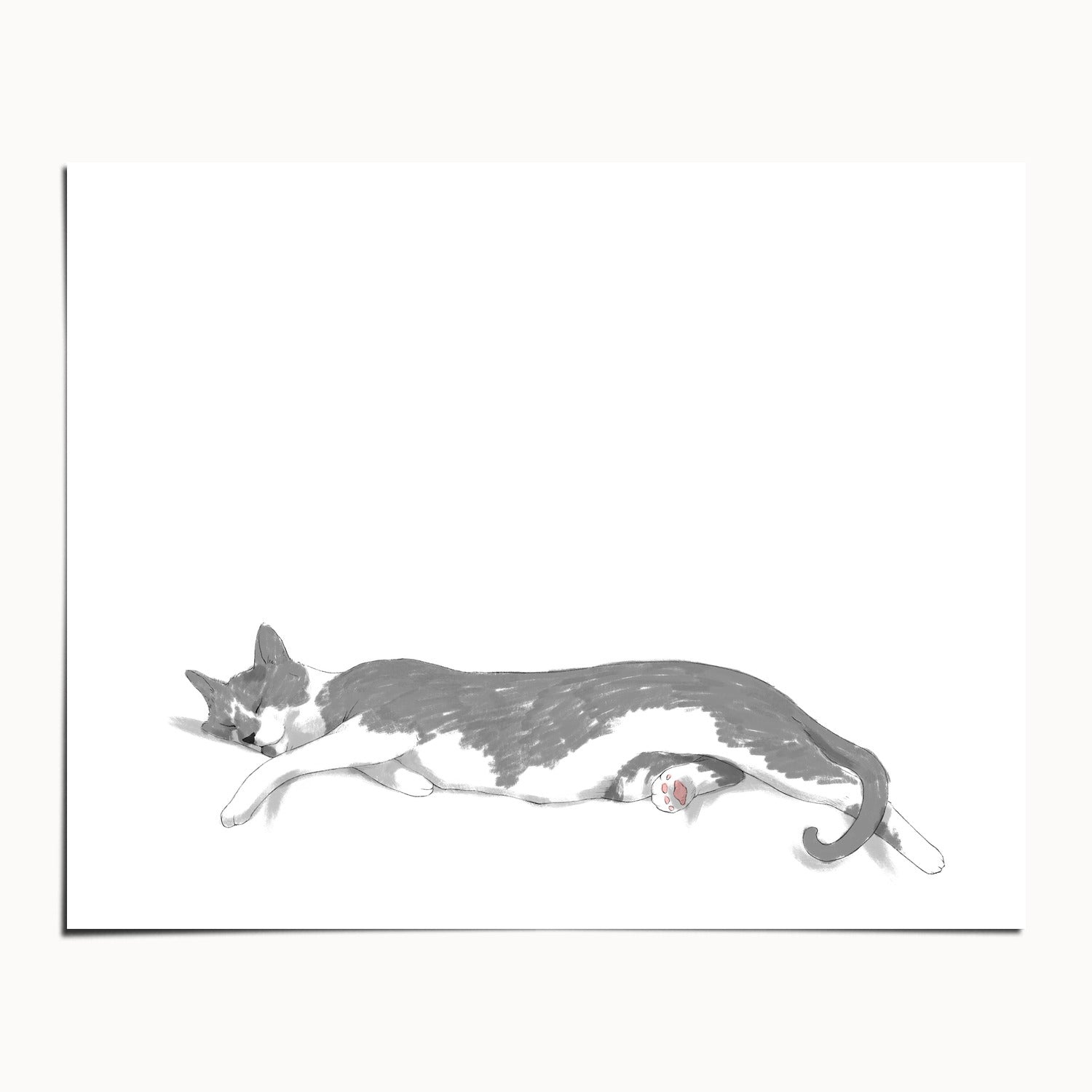 "Woodhouse Stretching - White Edition" by Catherine Hébert - Grey Tuxedo Cat Fine Art Print - 8"x10" size