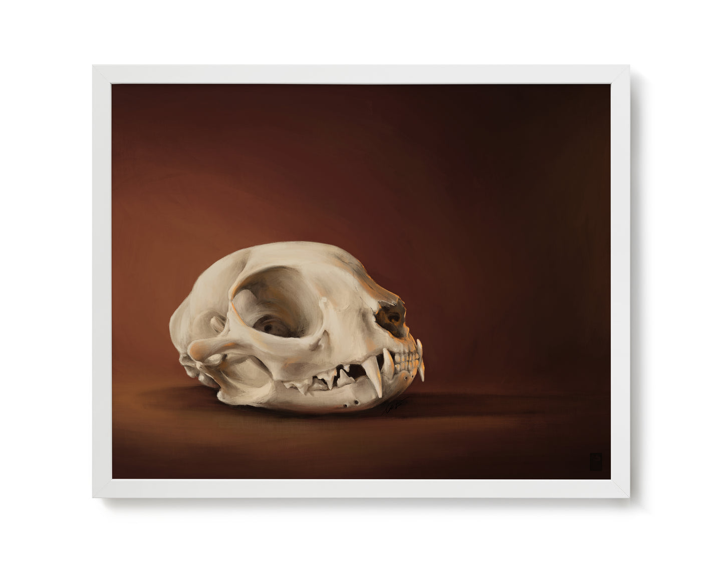 "Cranium Felinum" by Catherine Hébert - Spooky Cat Skull Giclee Art Print - 16"x20" size