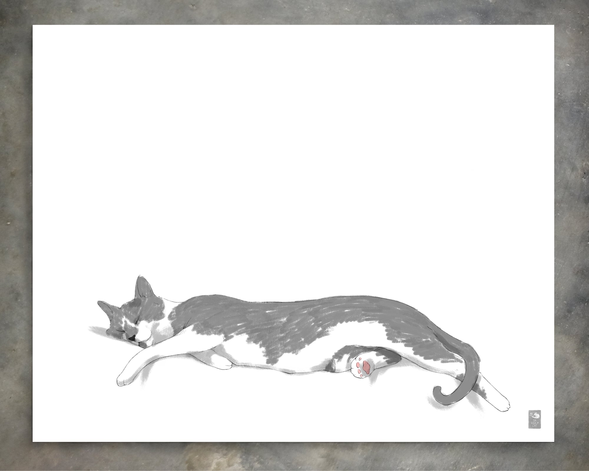 "Woodhouse Stretching - White Edition" by Catherine Hébert - Grey Tuxedo Cat Fine Art Print