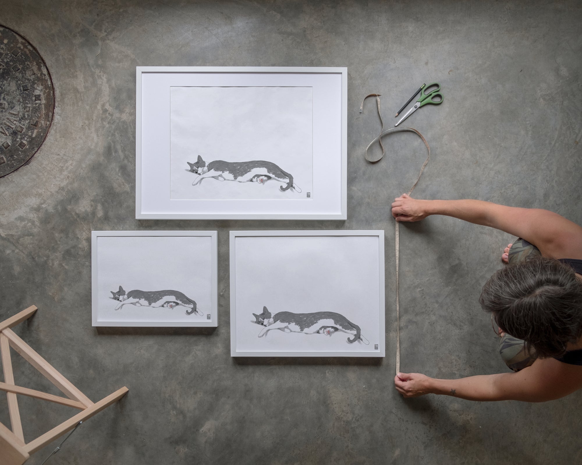 "Woodhouse Stretching - White Edition" by Catherine Hébert - Grey Tuxedo Cat Fine Art Print