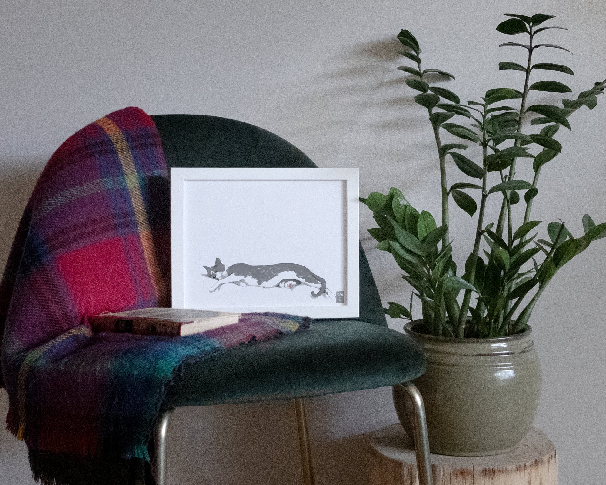 "Woodhouse Stretching - White Edition" by Catherine Hébert - Grey Tuxedo Cat Fine Art Print