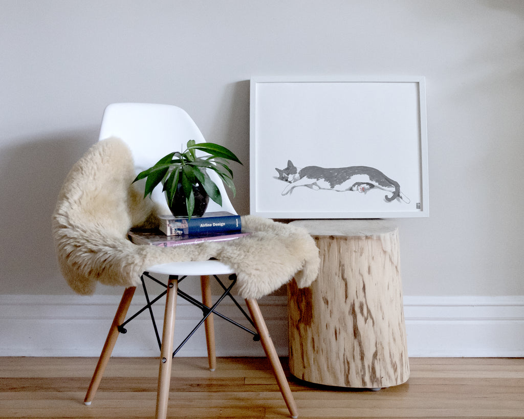 "Woodhouse Stretching - White Edition" by Catherine Hébert - Grey Tuxedo Cat Fine Art Print