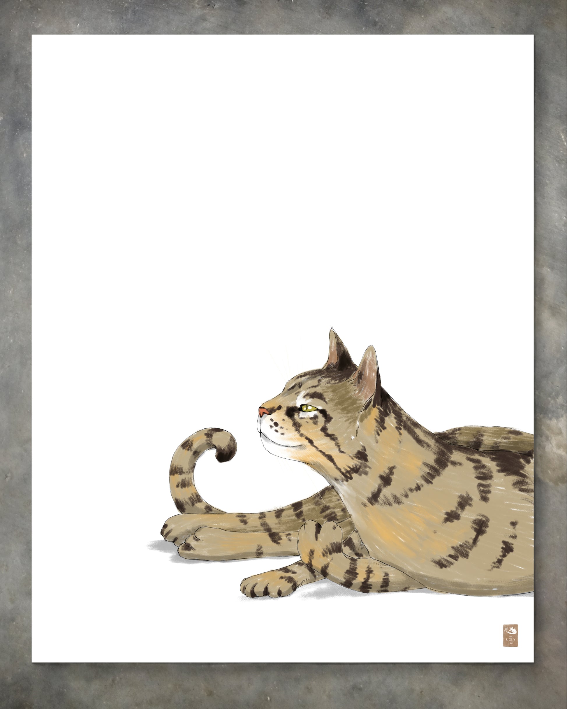 "Isengrin Looking Up - White Edition" by Catherine Hébert - Striped Brown Tabby Cat Giclee Art Print