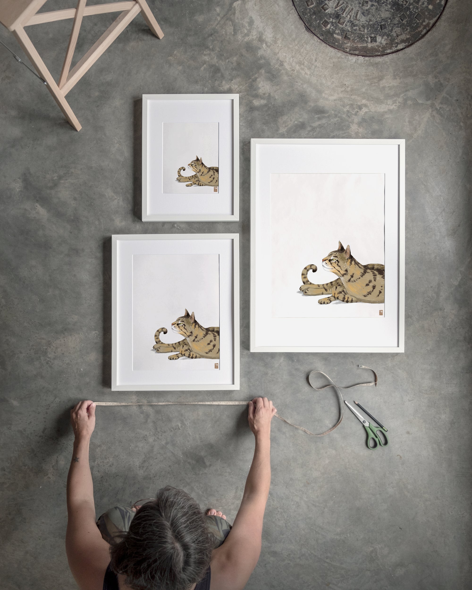 "Isengrin Looking Up - White Edition" by Catherine Hébert - Striped Brown Tabby Cat Fine Art Print