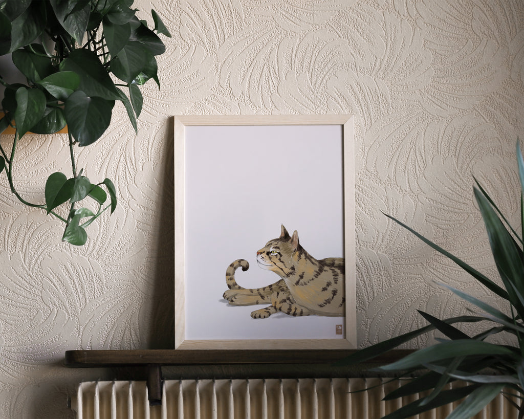"Isengrin Looking Up - White Edition" by Catherine Hébert - Striped Brown Tabby Cat Fine Art Print