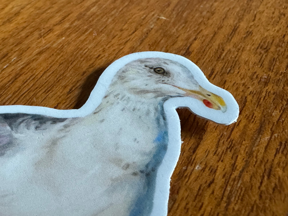 Autocollant Mouette Wobbly Leg