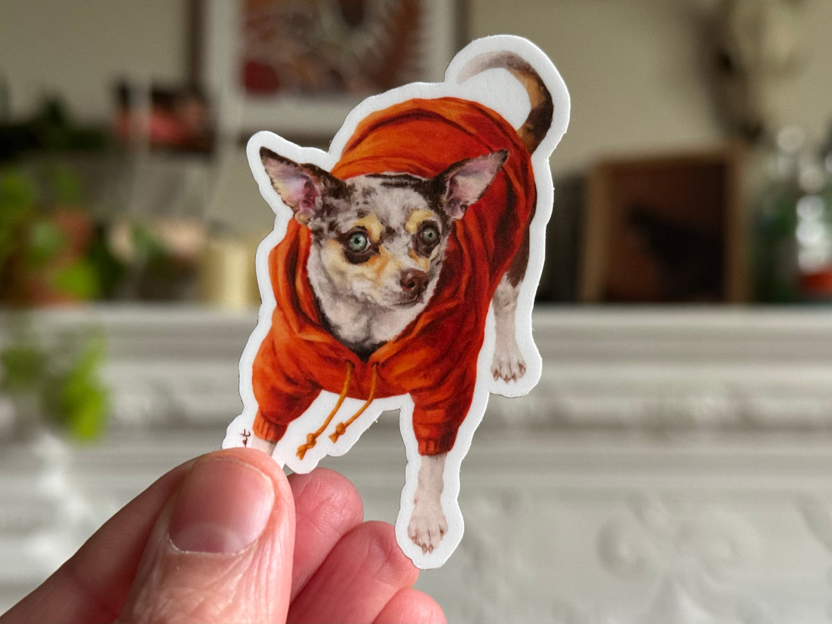 Autocollant Chihuahua Eastern Passage