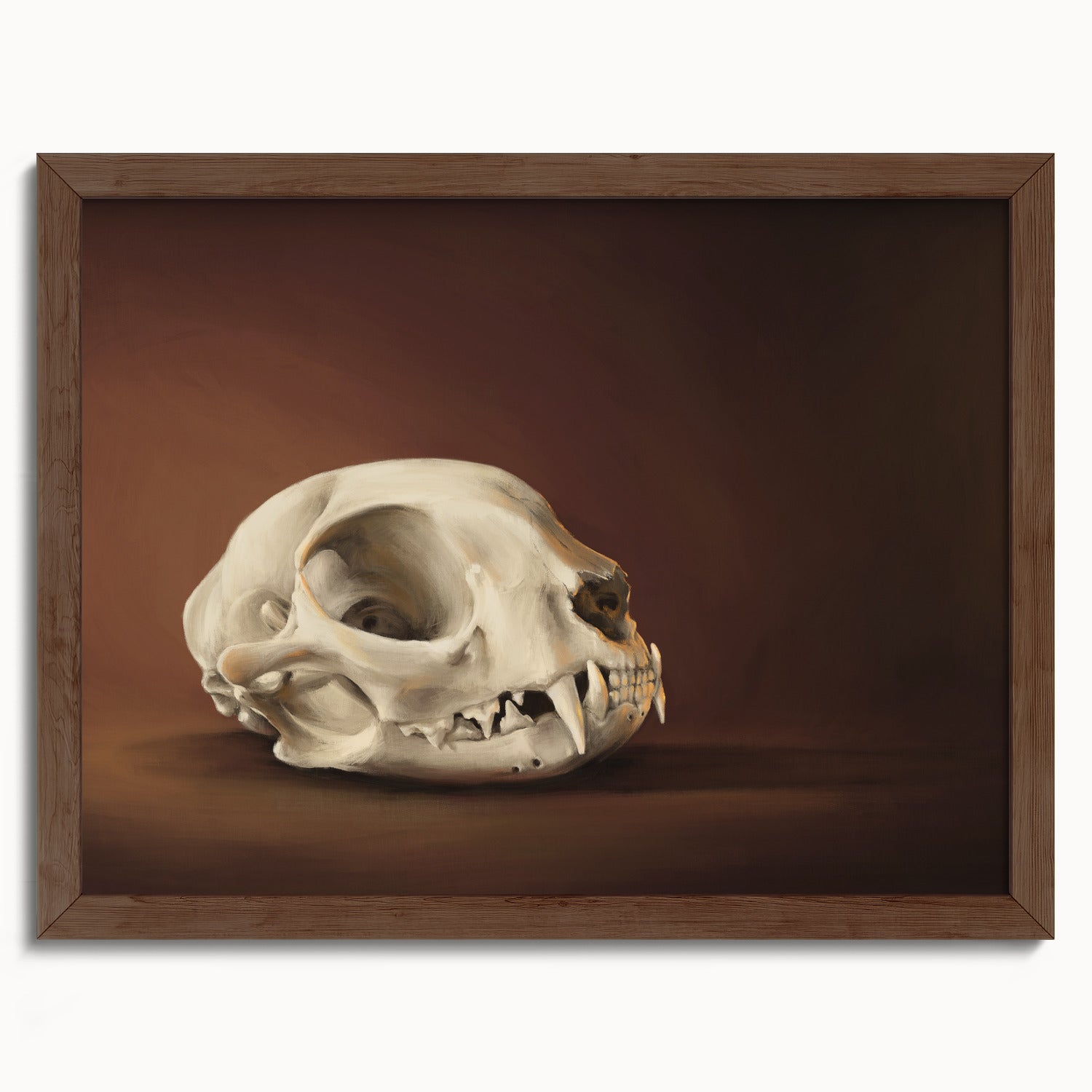 "Cranium Felinum" by Catherine Hébert - Spooky Cat Skull Fine Art Print - 12"x16" size