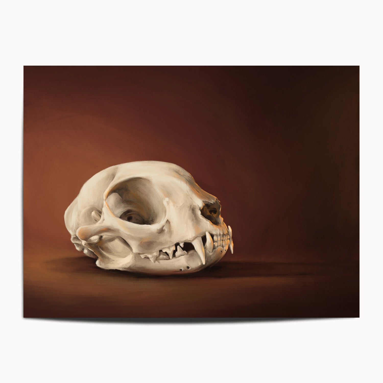 "Cranium Felinum" by Catherine Hébert - Spooky Cat Skull Fine Art Print - 30"x40" size