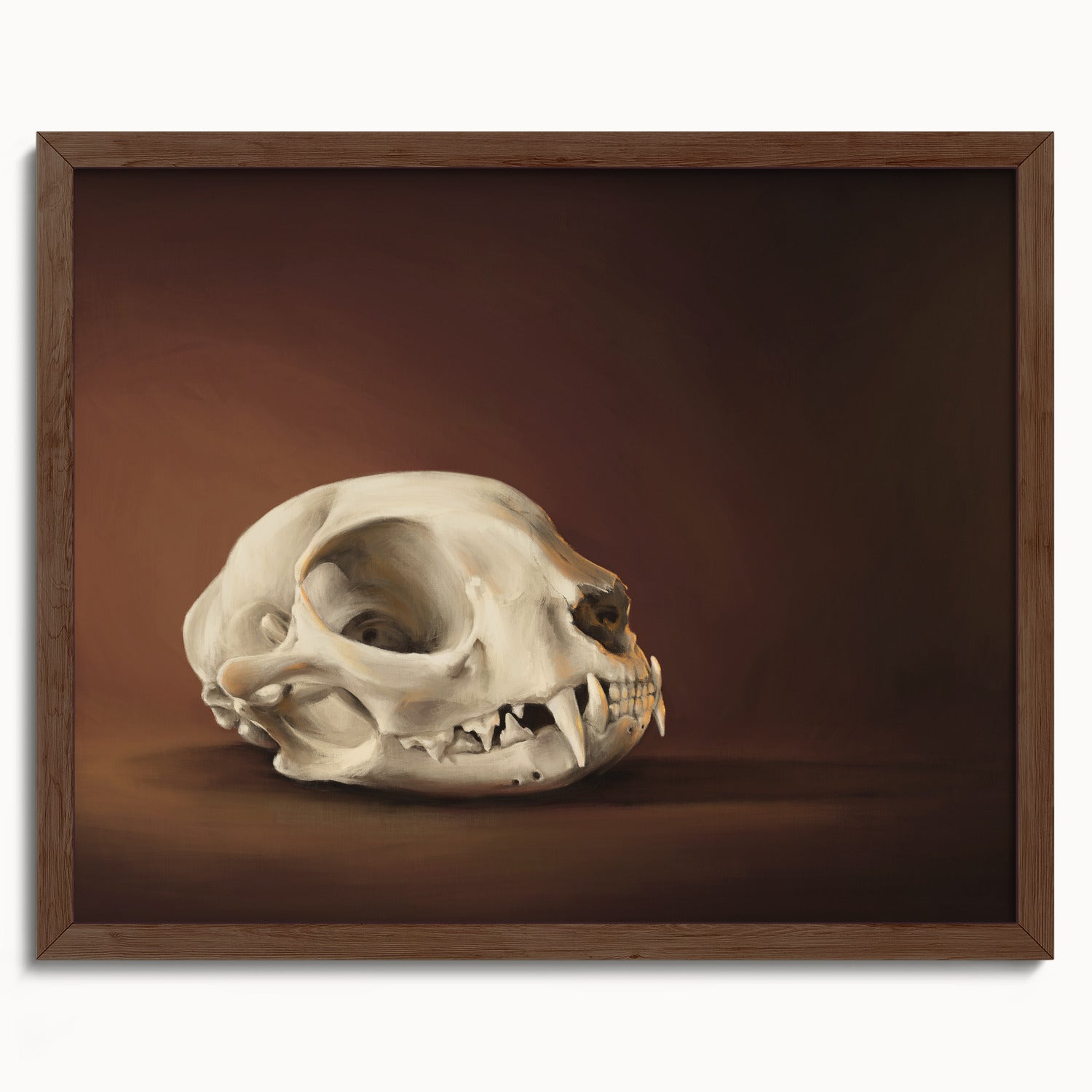 "Cranium Felinum" by Catherine Hébert - Spooky Cat Skull Fine Art Print - 16"x20" size