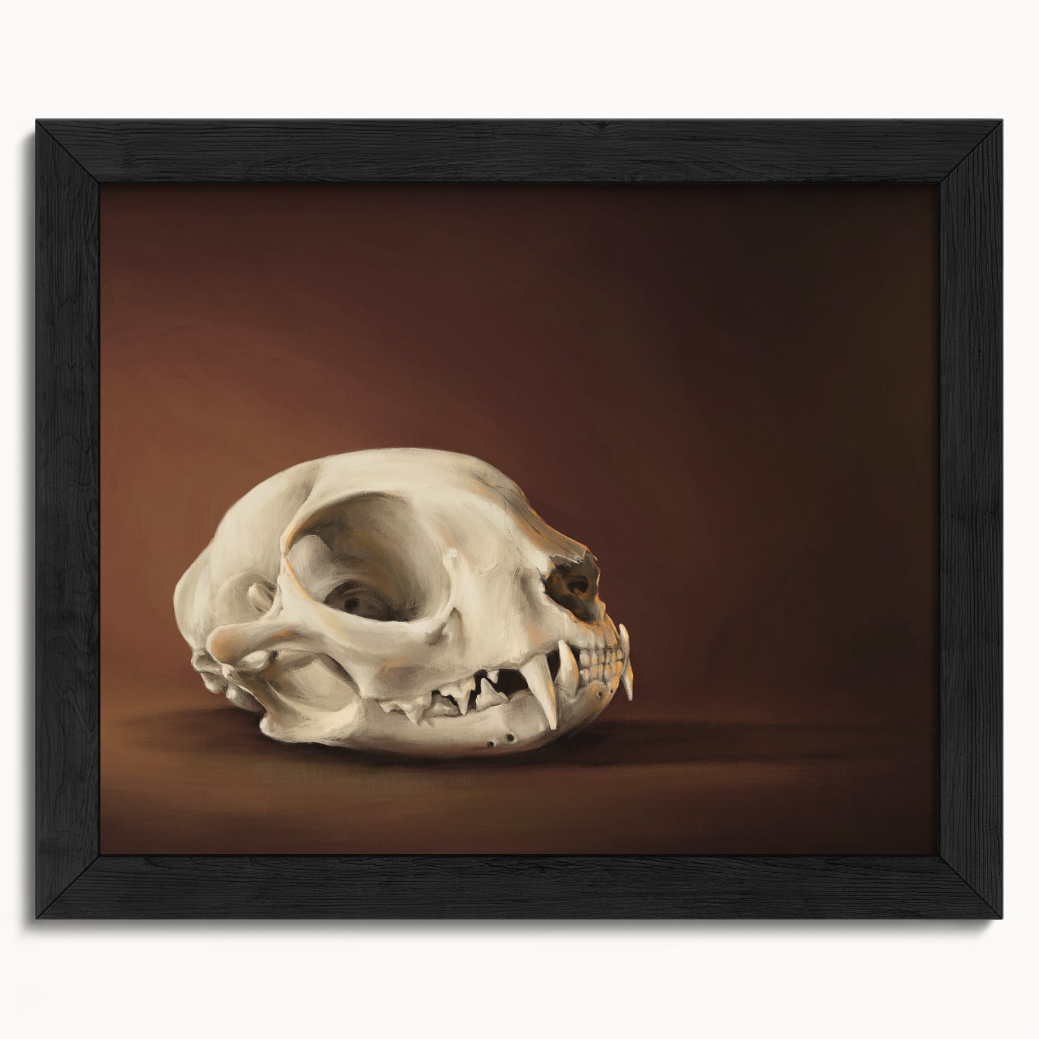 "Cranium Felinum" by Catherine Hébert - Spooky Cat Skull Fine Art Print - 8"x10" size