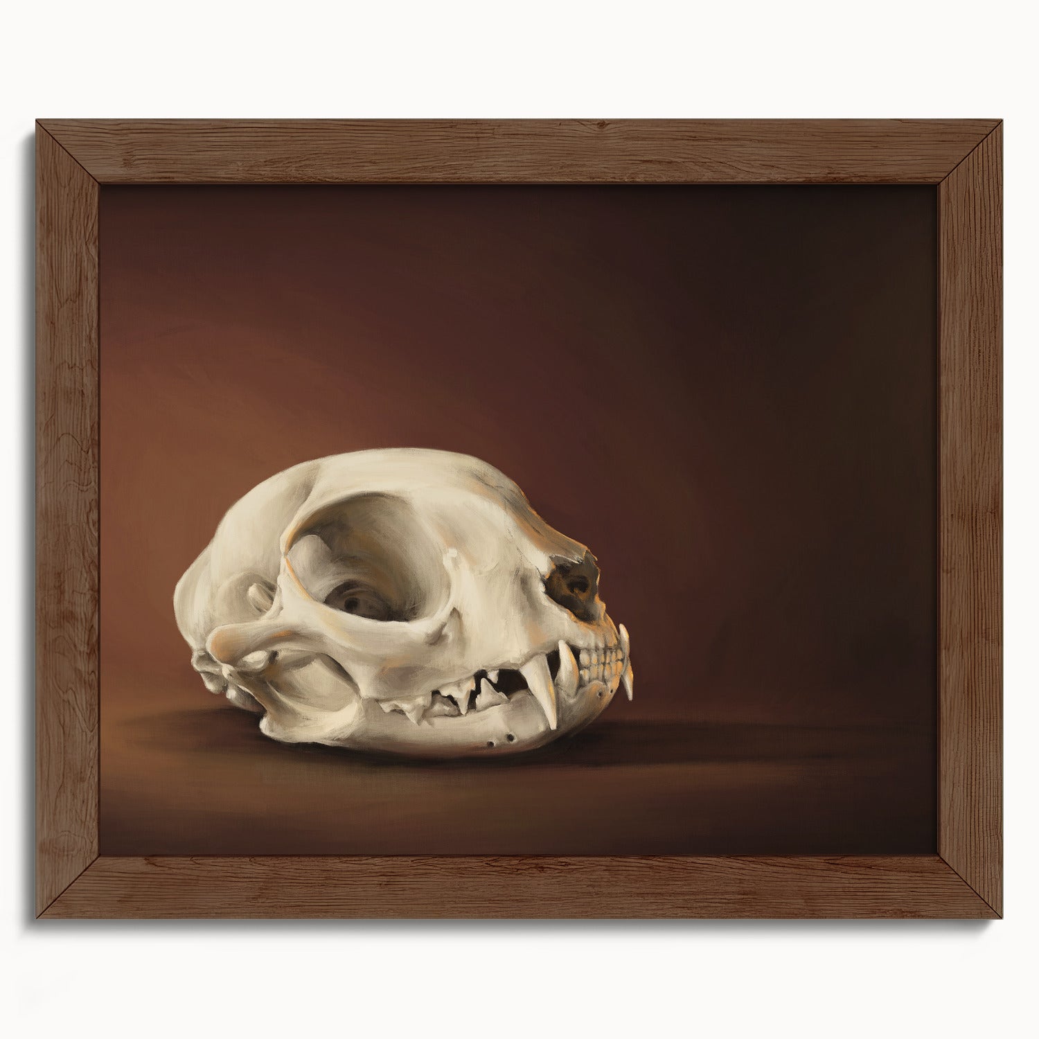 "Cranium Felinum" by Catherine Hébert - Spooky Cat Skull Fine Art Print - 8"x10" size