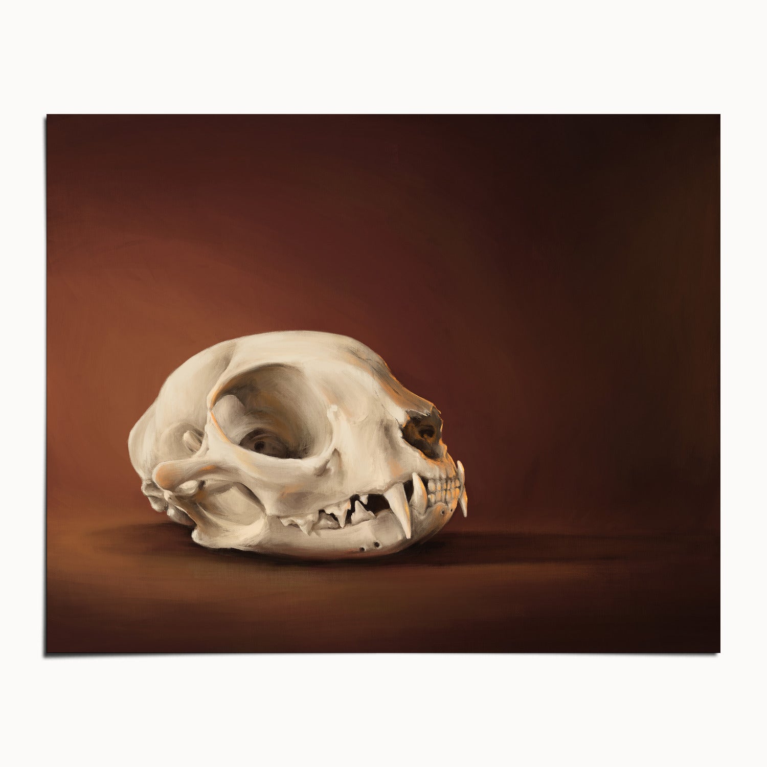 "Cranium Felinum" by Catherine Hébert - Spooky Cat Skull Fine Art Print - 8"x10" size