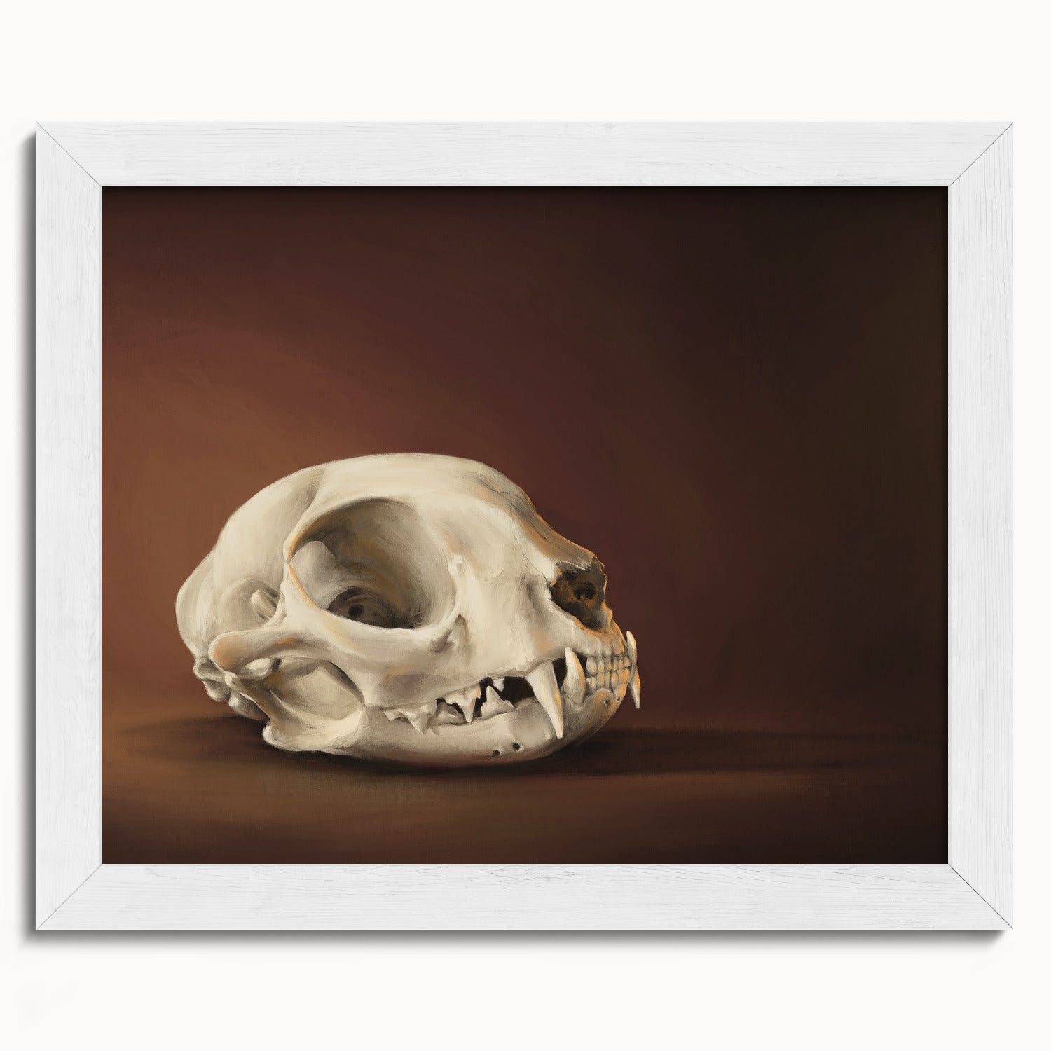 "Cranium Felinum" by Catherine Hébert - Spooky Cat Skull Fine Art Print - 8"x10" size