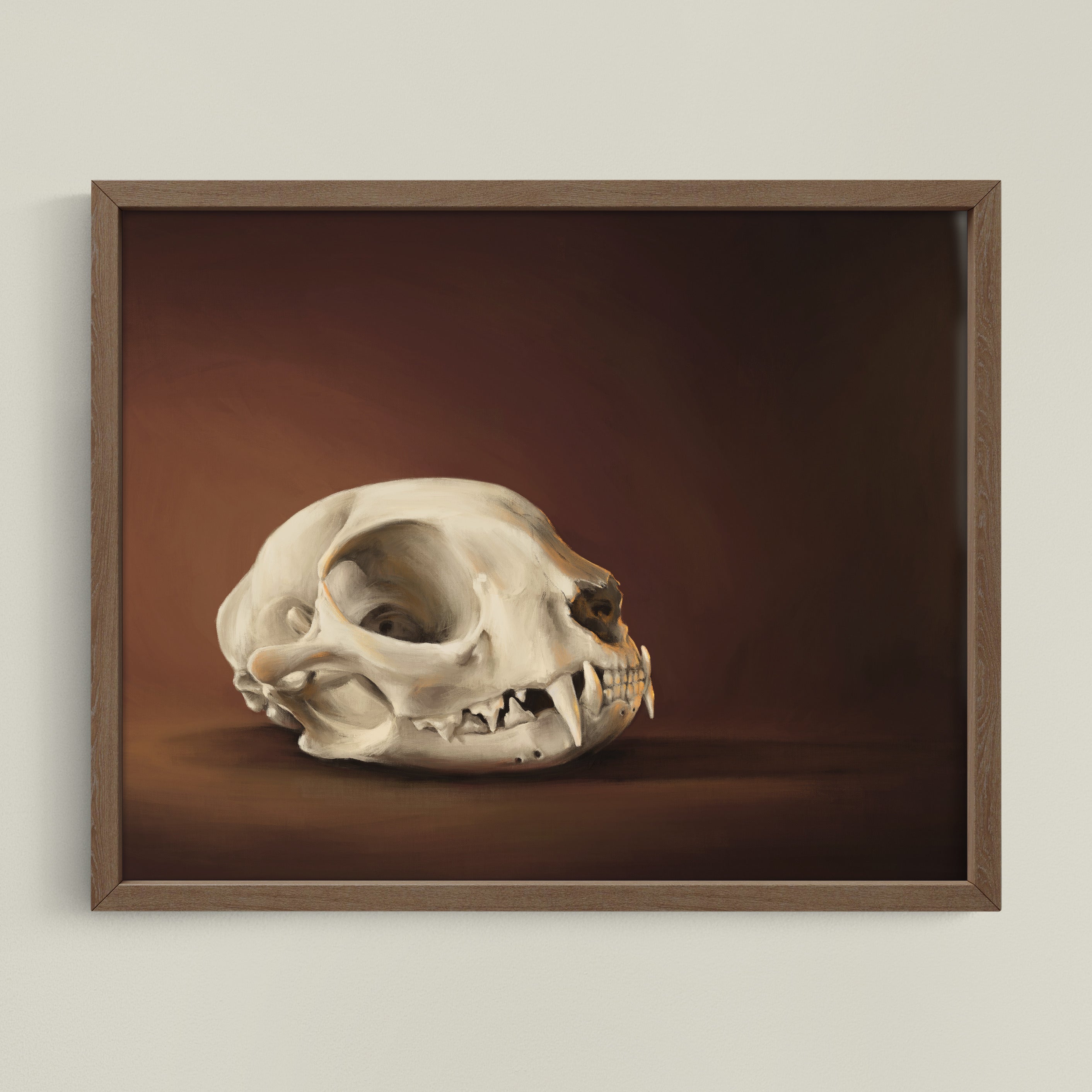 Cranium Felinum