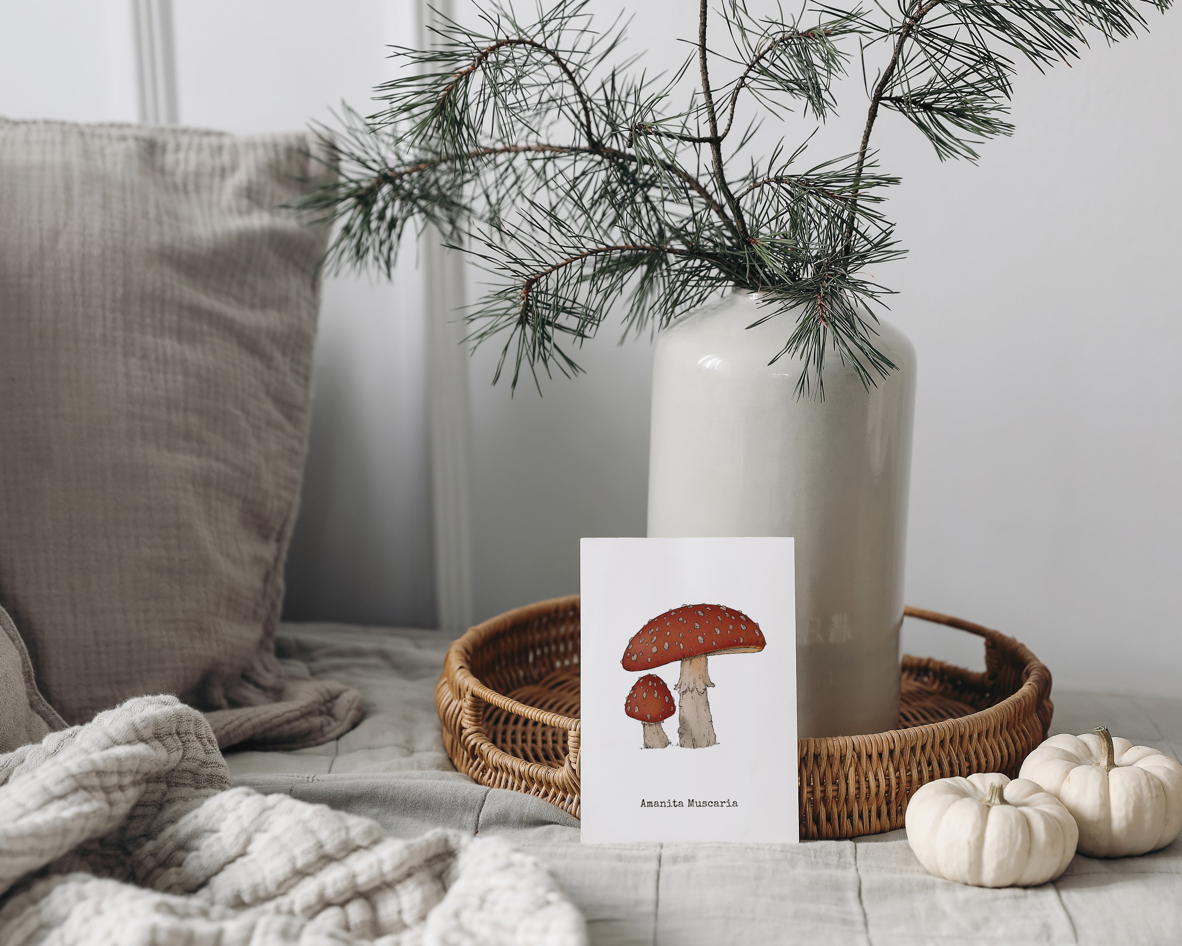 "Amanita Muscaria" by Catherine Hébert - Amanita Muscaria Mushroom  - Botanical Art Print – Floral, Nature Wall Art – Living Room, Kitchen Decor