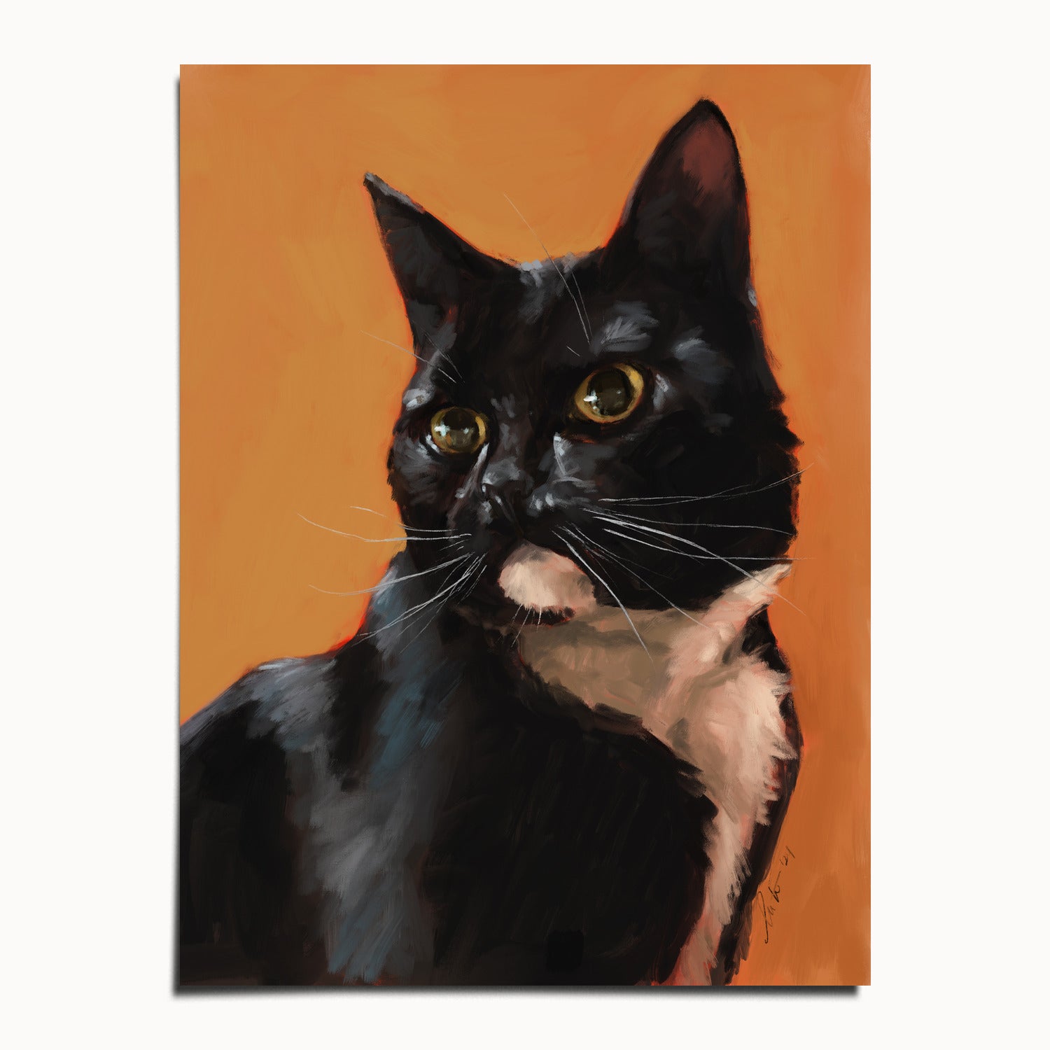 "Portrait of Rufio" by Catherine Hébert - Black and White Tuxedo Cat Portrait Fine Art Print - 12"x16" size