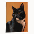 "Portrait of Rufio" by Catherine Hébert - Black and White Tuxedo Cat Art Print - 5"x7" size