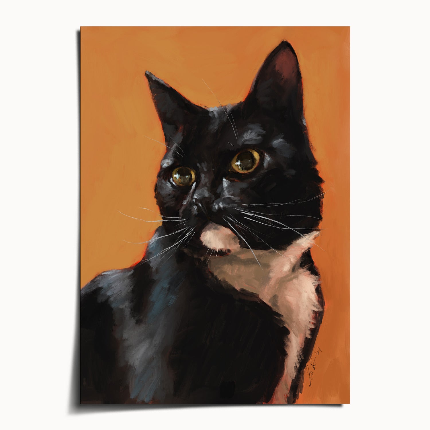 "Portrait of Rufio" by Catherine Hébert - Black and White Tuxedo Cat Portrait Fine Art Print - 5"x7" size