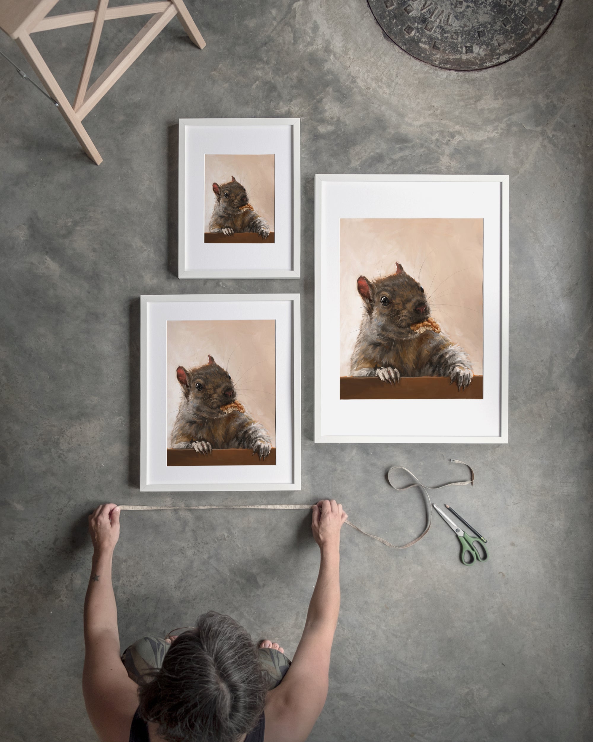"Brigette With A Walnut" by Catherine Hébert - Grey Squirrel with a Walnut Fine Art Print