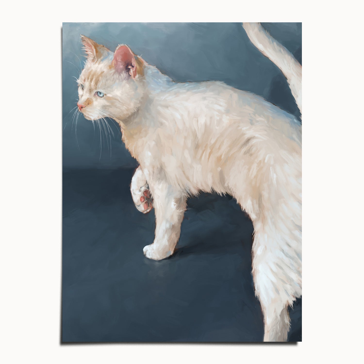 "Lucille" by Catherine Hébert - White Cat on Blue Background Fine Art Print - 12"x16" size