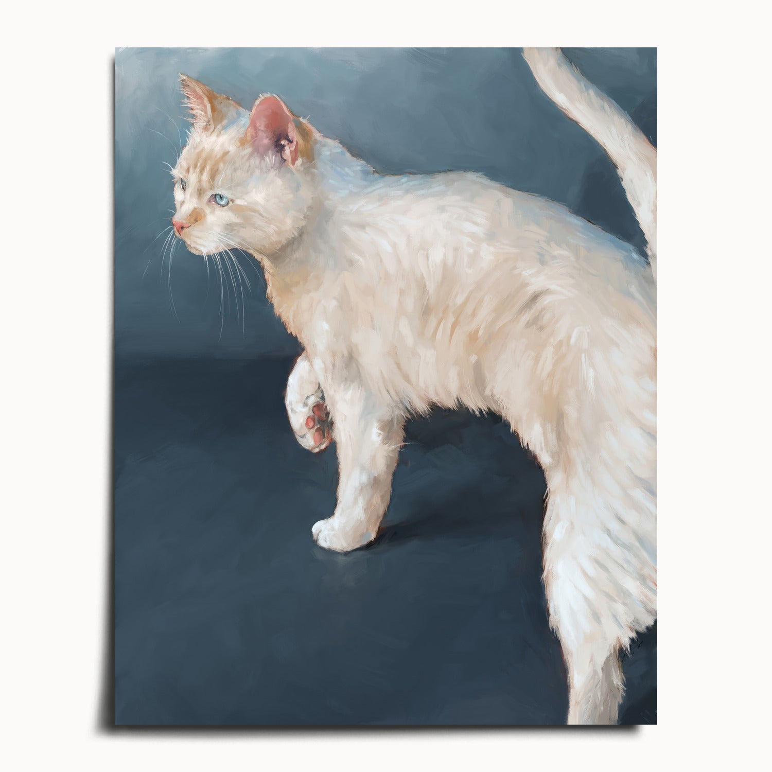"Lucille" by Catherine Hébert - White Cat on Blue Background Fine Art Print - 16"x20" size