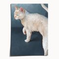 "Lucille" by Catherine Hébert - White Cat with Blue Eyes Art Print - 5"x7" size
