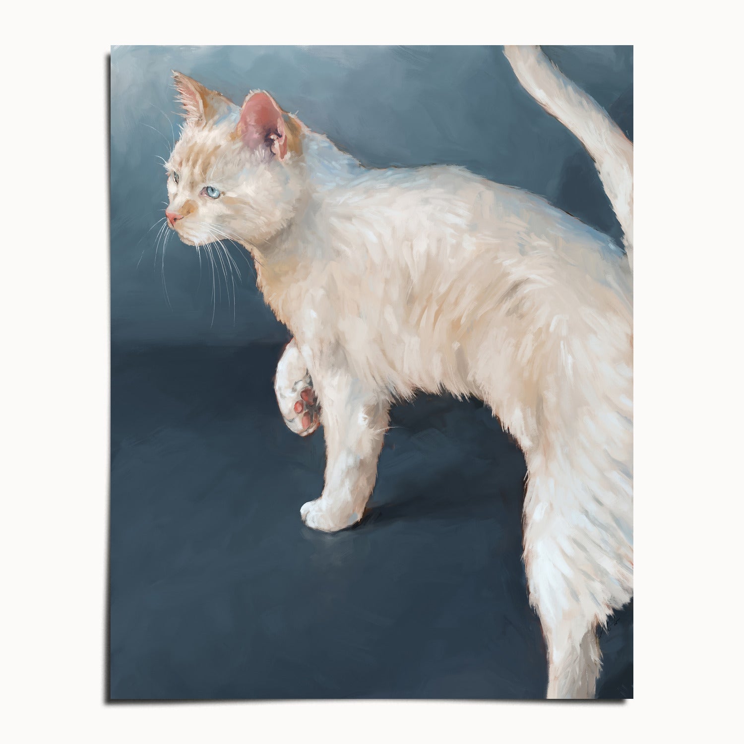 "Lucille" by Catherine Hébert - White Cat on Blue Background Fine Art Print - 24"x30" size