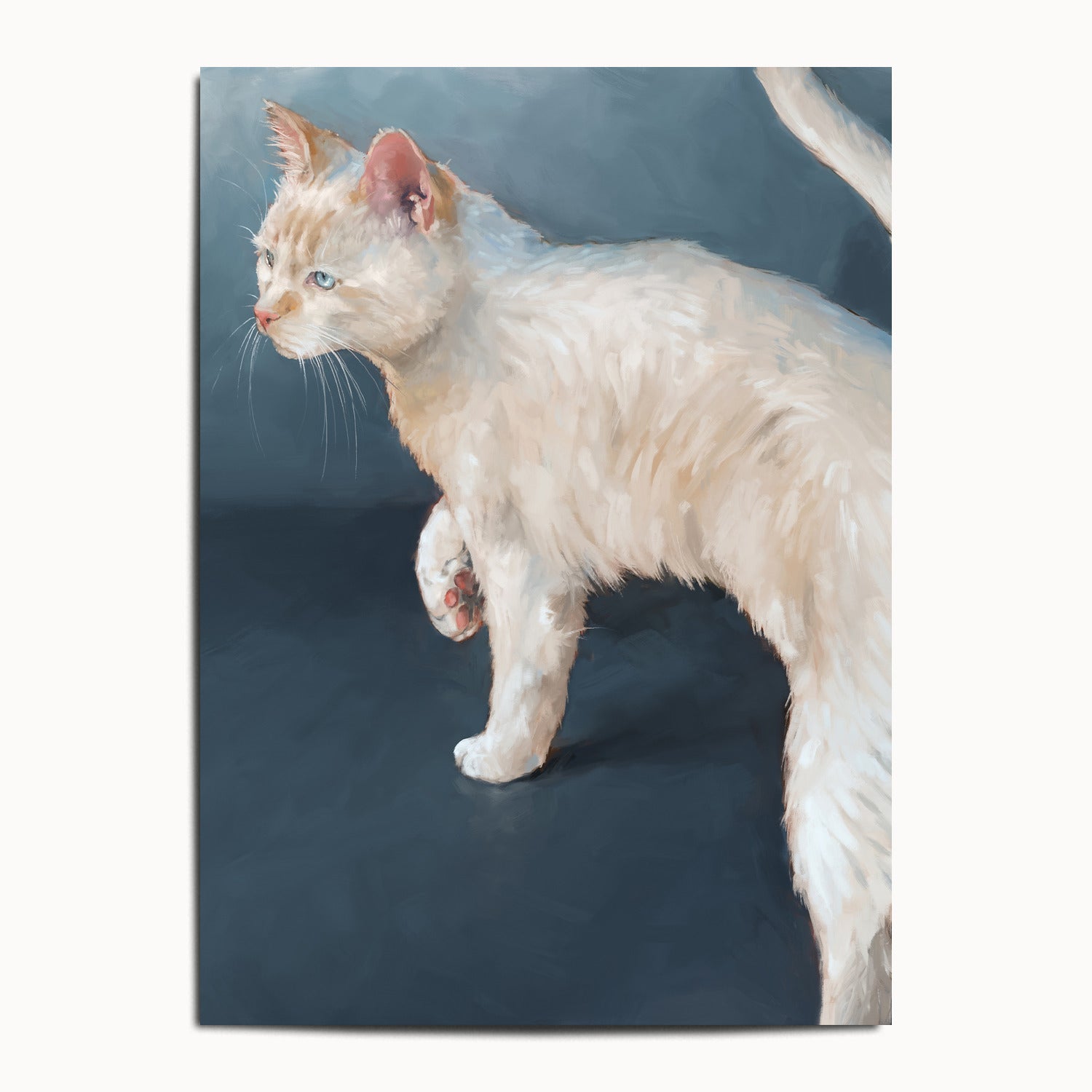 "Lucille" by Catherine Hébert - White Cat on Blue Background Fine Art Print - 13"x18" size