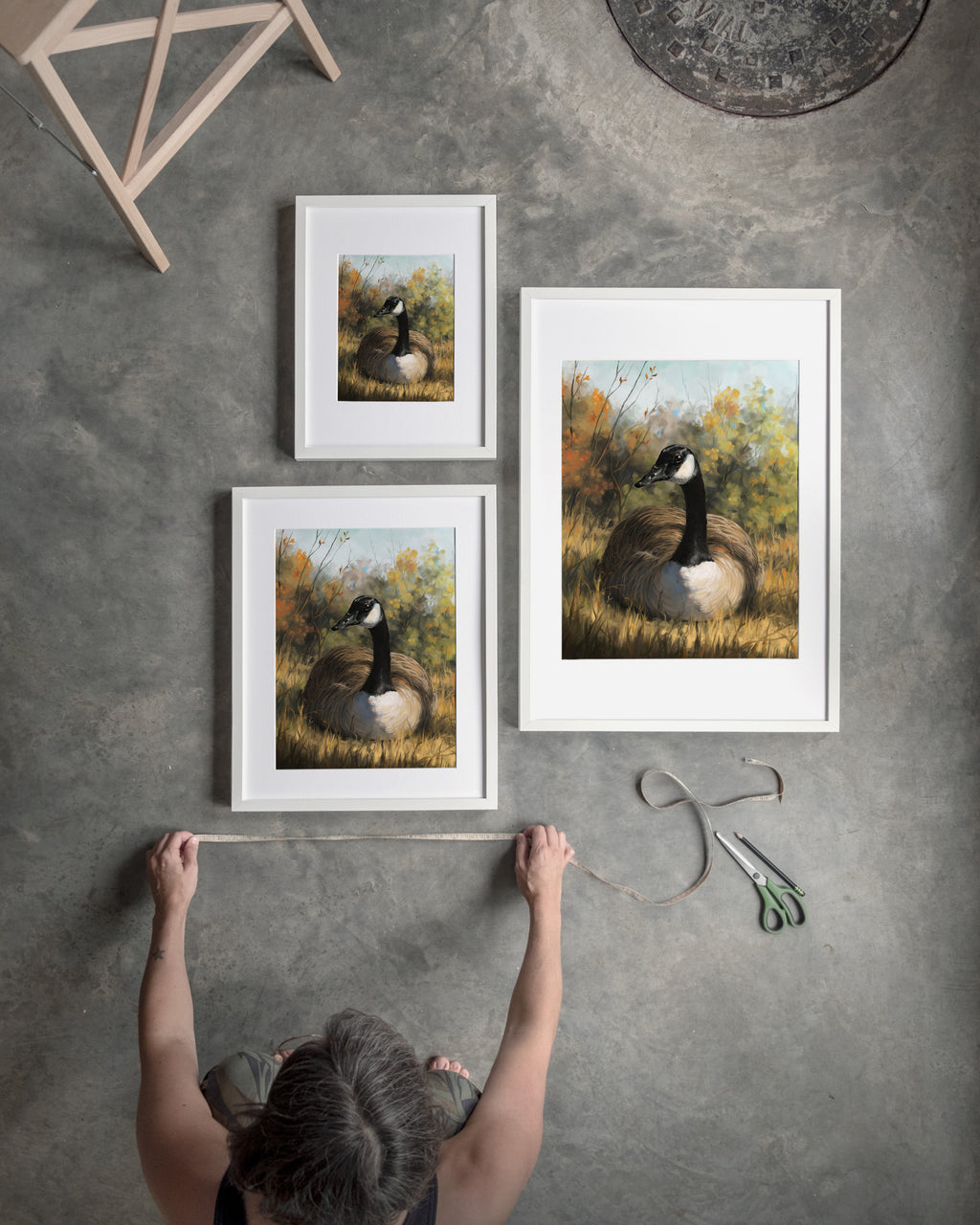 "Markham Goose" by Catherine Hébert - Canada Goose Art Print