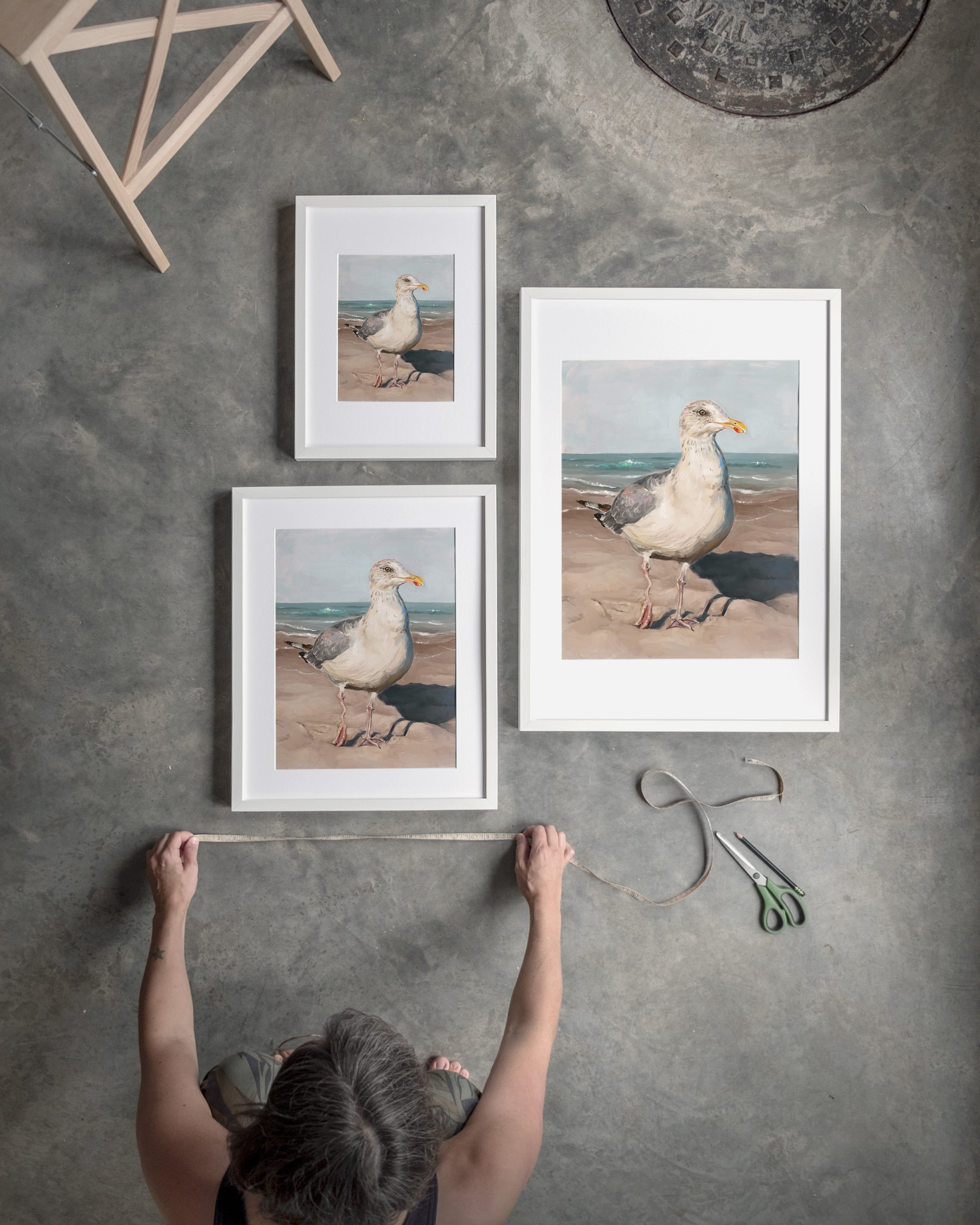 "Wobbly Leg Seagull" by Catherine Hébert - Seagull with Wobbly Leg Fine Art Print