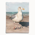 "Wobbly Leg Seagull" by Catherine Hébert - Seagull with Wobbly Leg Art Print - 12"x16" size