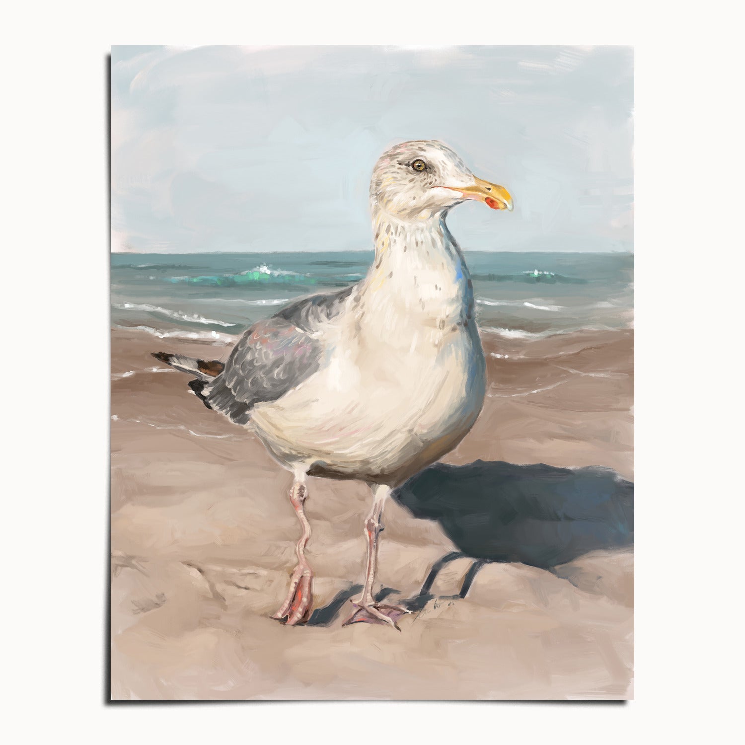 "Wobbly Leg Seagull" by Catherine Hébert - Seagull with Wobbly Leg Fine Art Print - 8"x10" size