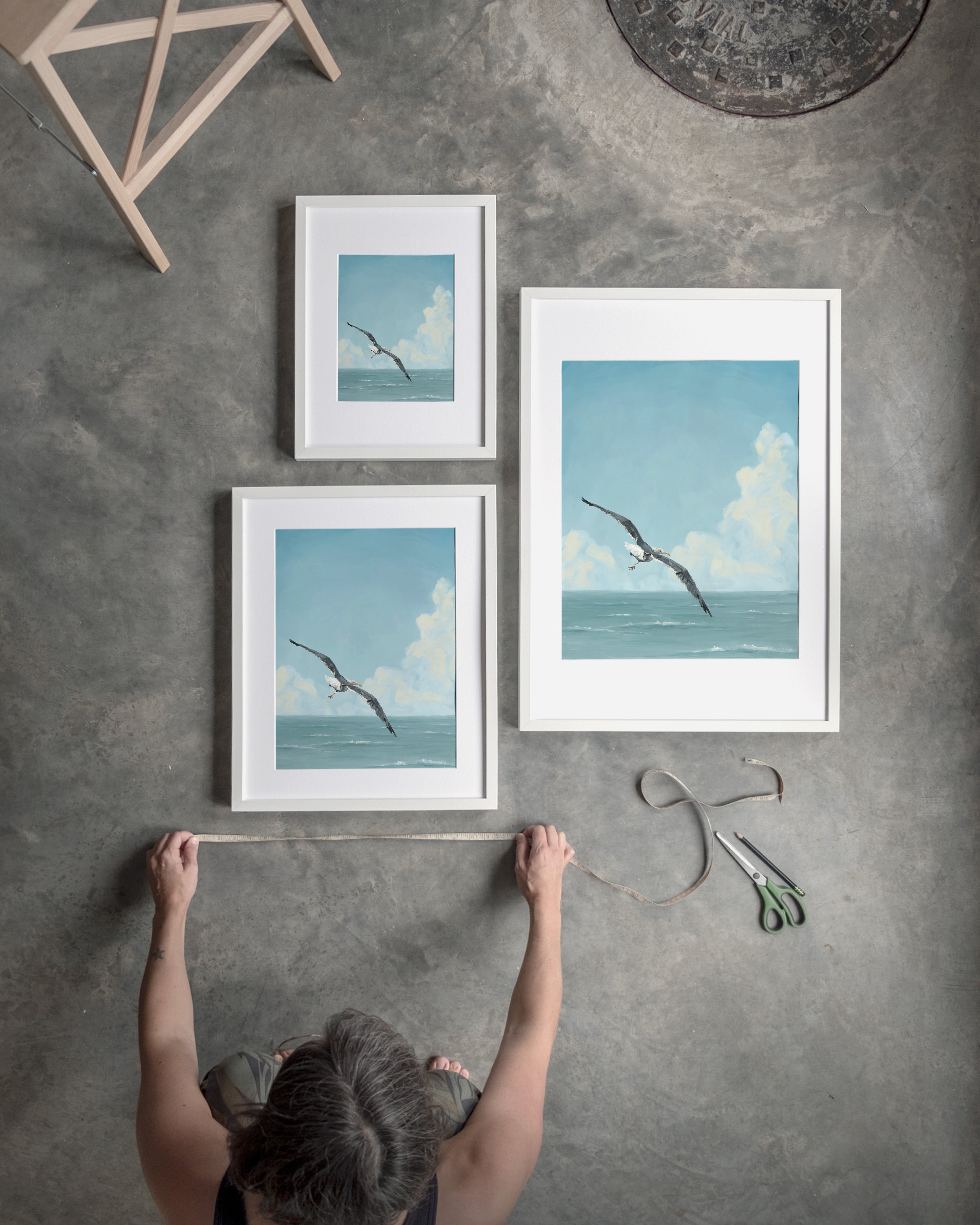 "Wobbly Seagull in Flight" by Catherine Hébert - Seagull In Flight Fine Art Print