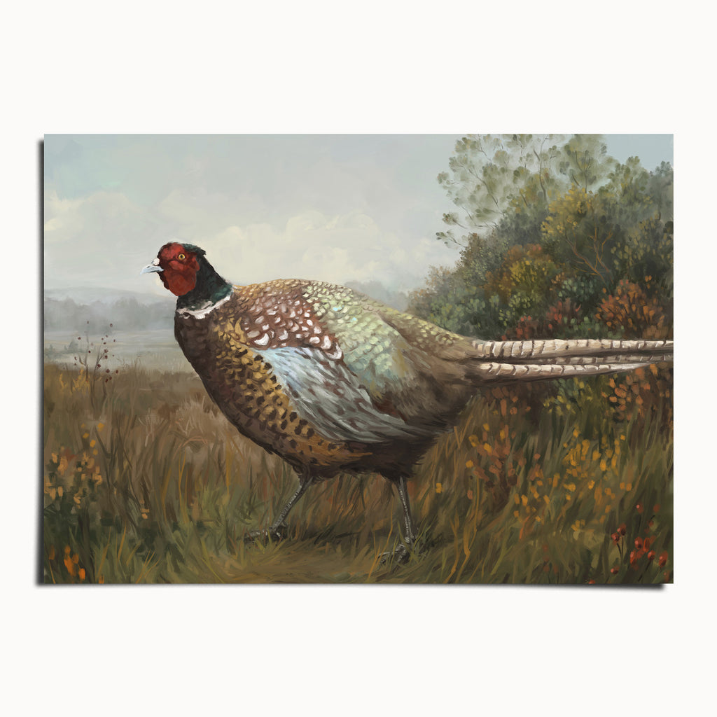 "Rocco the Pheasant" by Catherine Hébert - Pheasant Fine Art Print - 5"x7" size