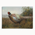 "Rocco the Pheasant" by Catherine Hébert - Pheasant Fine Art Print - 5"x7" size