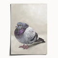 "Majestic Fat Bird" by Catherine Hébert - City Pigeon Art Print - 5"x7" size