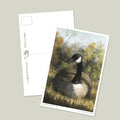 Carte postale Markham Goose