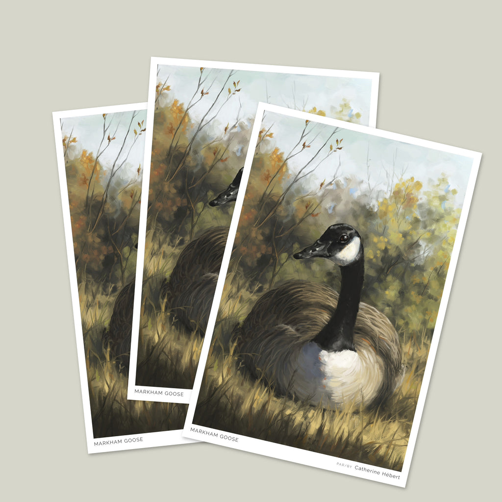 Carte postale Markham Goose