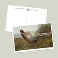 Carte postale Rocco the Pheasant