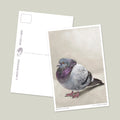 Majestic Fat Bird Postcard